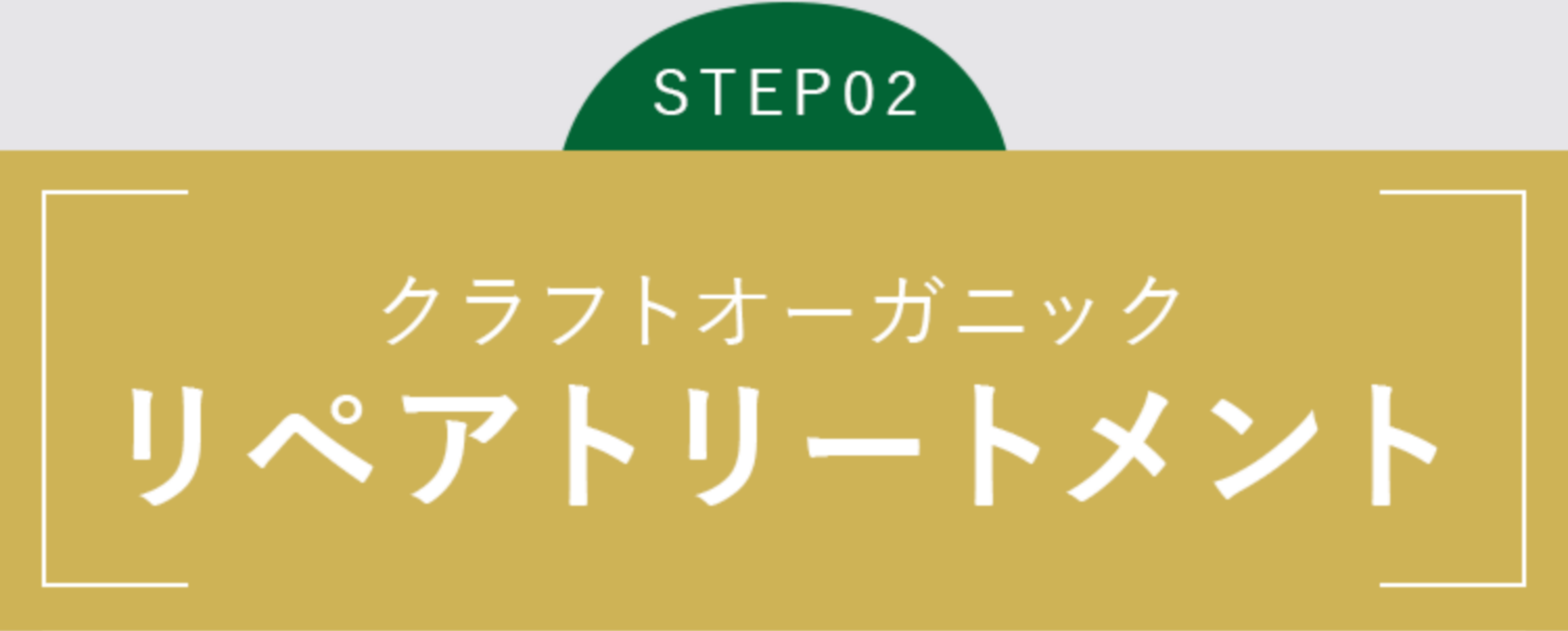 クラフトオーガニックリペアトリートメント